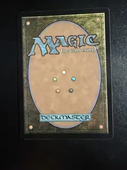 MTG - NM - Silkguard - Borderless - Spider Man - Image 2