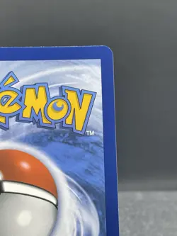 Noivern EX Full Art Ultra Rare #246/193 Paleda Evolved Pokemon TCG - Image 4