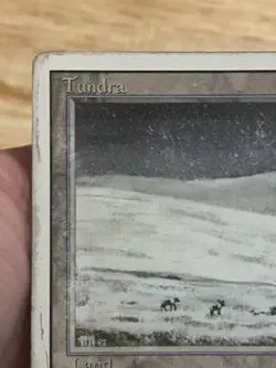 Tundra (Revised Edition) - Magic the Gathering (MtG) - MP - Image 3