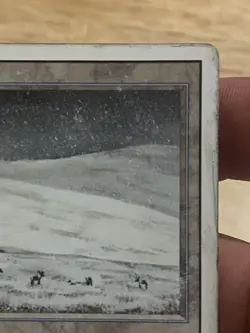 Tundra (Revised Edition) - Magic the Gathering (MtG) - MP - Image 4