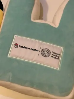 Pokemon x Natural History Museum. Pikachu Promo Card, Pikachu Plush and Booklet - Image 3