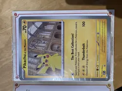 Pokemon x Natural History Museum Pikachu Plush, Promo Card & Ecology Booklet - Image 2