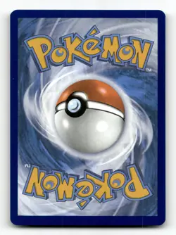 Bloodmoon Ursaluna ex 141/167 - Twilight Masquerade - Pokemon Card NM/M - Image 2