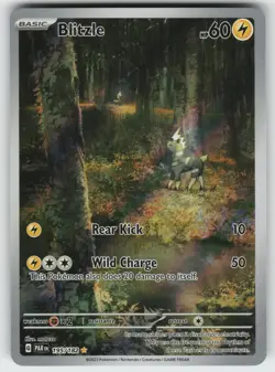 Blitzle Illustration Rare SV04: Paradox Rift 195/182 Pokemon - Image 1