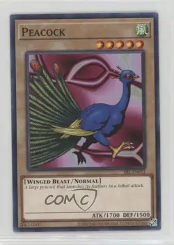 Peacock English Worldwide YuGiOh Spell Ruler #SRL-EN011 2002 - Image 1