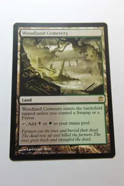 MTG Woodland Cemetery x1- -Innistrad-Lightly Played - Image 1