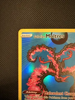 Galarian Moltres SWSH284 - Pokemon Black Star Promo - Near Mint - Image 2