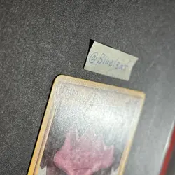 Ditto - 17/102 - Triumphant Rare MP - Image 2