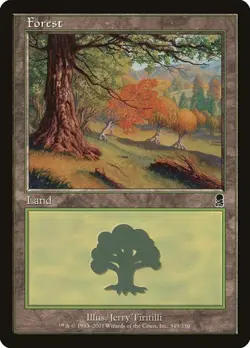 Forest (#349) - Foil Odyssey HP MTG - Image 1