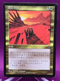 Squandered Resources CHINESE - Visions - Magic the Gathering MTG *CCGHouse* RA - Image 2