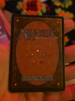 Veteran Bodyguard Mtg Unlimited - Image 2