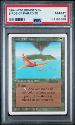 1994 MTG REVISED EDITION BIRDS OF PARADISE PSA 8 - Image 1