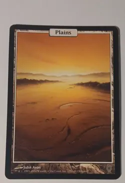 Plains - Full Art Unhinged Regular MTG - Image 1