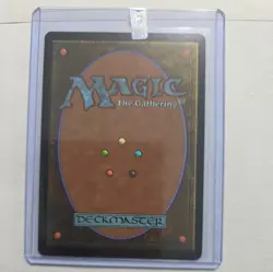 Choco, Seeker of Paradise MTG (Borderless) (Chocobo Track Foil) Final Fantasy - Image 4