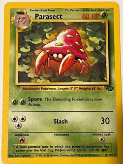 24 pokemon cards, 6 holo, polowrath holo mint - Image 3