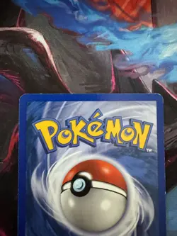 Pokemon Wartortle Card 92/165 Expedition Base Set E-Series - Image 3