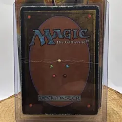 Magic the Gathering MTG Tundra Revised - Image 2