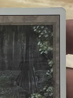 Bayou Revised MTG Magic the Gathering Lightly Played DUAL LAND - Image 3