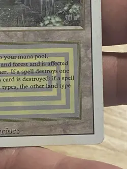 Bayou Revised MTG Magic the Gathering Lightly Played DUAL LAND - Image 4