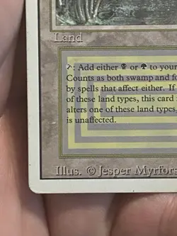 Bayou Revised MTG Magic the Gathering Lightly Played DUAL LAND - Image 5