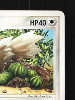 Zigzagoon 040/053 Unlimited LP Miracle of the Desert Japanese Pokemon Card TCG - Image 5