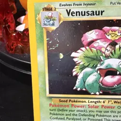 Venusaur 13 - Holo SWIRL Promo - WoTC Black Star Promos - Pokemon TCG Vintage - Image 2