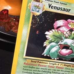 Venusaur 13 - Holo SWIRL Promo - WoTC Black Star Promos - Pokemon TCG Vintage - Image 3