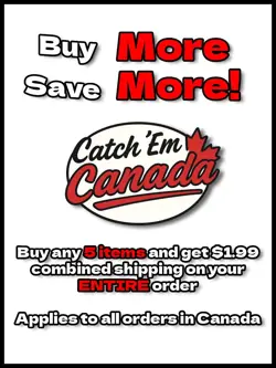 Ninjask Mega Evolution 137/132 Illustration Rare - NM - Image 3