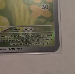 Pokemon Rowlet Basic Rare Full Art Holo 090/088 POR 2026 HP80 Attack30 - Image 3