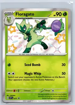 Floragato - Shiny SVP 077 Paldean Fates Promo Pokemon Card NM - Image 1