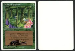 ***Italian Wild Growth Signed Artist Proof** MTG Revised Mark Poole Kid Icarus - Image 1