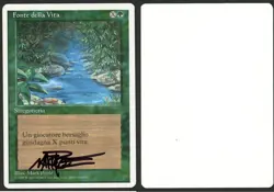 ***Italian Stream of Life Signed Artist Proof* MTG Revised Mark Poole Kid Icarus - Image 1