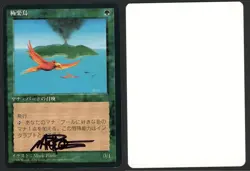 ***FBB Japanese Birds of Paradise Signed Artist Proof MTG 4th Edition Mark Poole - Image 1