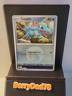 Totodile 041/217 Ascended Heroes (Energy) Reverse Holo Pokemon TCG NM - Image 1
