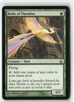 Birds of Paradise Ravnica: City of Guilds LP MTG - Image 1
