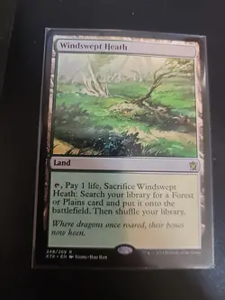Magic: The Gathering Final Wndswept Heath - Image 1