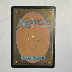 Wizards of the Coast Raucous Theater Rare Land Borderless #0329 Karlov Manor - Image 2