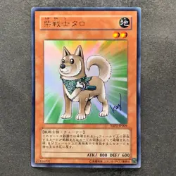 Shiba Warrior Taro YAP1-JP009 Ultra Rare Anniversary Pack YuGiOh 100 - Image 1