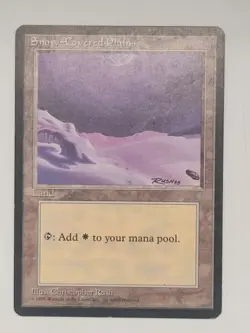 Snow-Covered Plains - Ice Age (ICE) - #350 - Magic: The Gathering - MTG - NM - Image 4