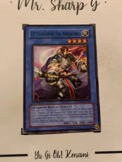 CU CHULAINN THE AWAKENED - 1st EDITION STON-EN033 ENGLISH Yu-Gi-Oh! CARD COMMON - Image 4