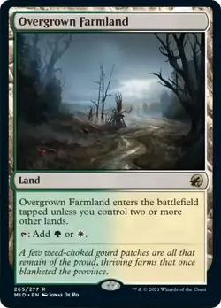 MTG Overgrown Farmland - 265 / English / Near Mint - Image 1