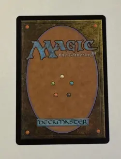 MTG: The Brothers' War - Llanowar Wastes LP - Image 2