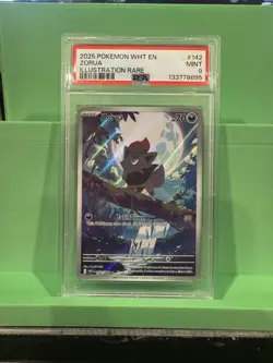 Pokemon TCG Zorua Sv: White Flare 142/086 Illustration Rare Holo PSA 9 2025 - Image 1