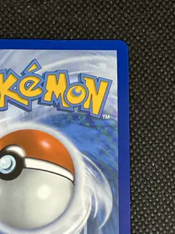 Pokemon Dondozo ex Ultra Rare Full Art Holo 211/182 Sv10 Destined Rivals 280 HP - Image 5