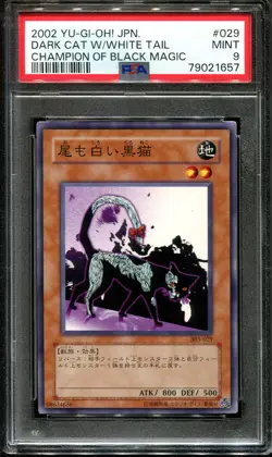 YUGIOH - PSA 9 - DARK CAT WITH WHITE TAIL - 303-029 - CHAMPION OF BLACK MAGIC JA - Image 1
