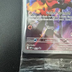 Charcadet Pokemon Center Promo SEALED Phantasmal Flames PC ETB Promo - Image 4