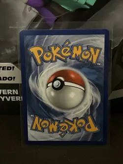 Pokemon First Partner Collection Kanto Charmander, Bulbasaur, Squirtle (SET) NM - Image 3