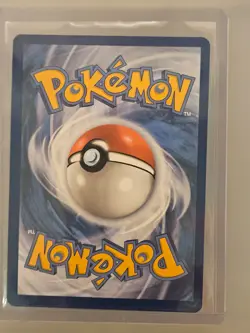 Squirtle 148/142 Illustration Rare Stellar Crown Pokemon NM - Image 2
