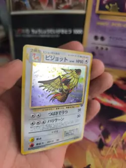 Pokemon Karte Card Tauboss Pidgeot Jungle Dschungel 1997 Holo Wotc japanese NM - Image 2