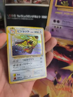 Pokemon Karte Card Tauboss Pidgeot Jungle Dschungel 1997 Holo Wotc japanese NM - Image 5